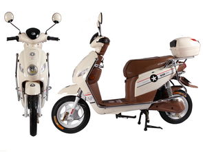 可人電動車公司新聞 可人電動車最新動態