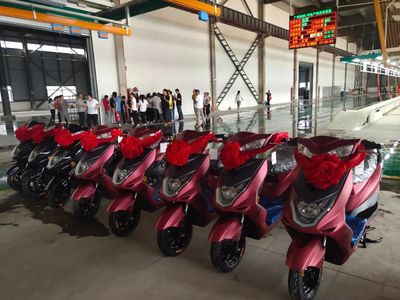 歐派貴港工廠正式投產,五大電動車基地齊發力,沖擊百萬銷量!