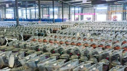 第8萬輛下線!你家的愛瑪電動車可能是銅梁產(chǎn)