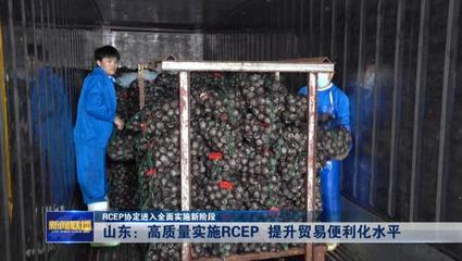 RCEP協(xié)定進入全面實施新階段——山東高質(zhì)量實施RCEP提升貿(mào)易便利化水平，推動貨物進出口發(fā)展